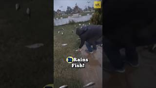 It rains FISH in this town! #viral #facts #fish #rain #snow #shorts #fyp #youtubeshorts
