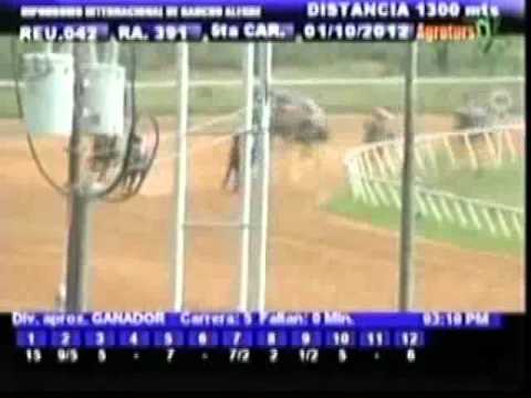 Resumen Lunes, 01 de Octubre de 2012 - Rancho Alegre