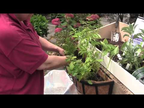 Planting Hayrack Baskets thumbnail