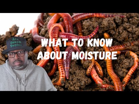 How To Control MOISTURE In A Worm Bin