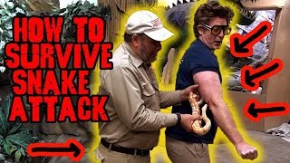 How to Survive a Snake Attack *DON'T TRY THIS AT HOME* by Prehistoric Pets TV