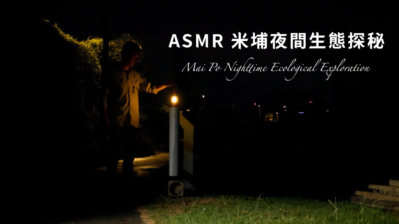 ASMR 米埔夜間生態探秘｜Mai Po Nighttime Ecological Exploration