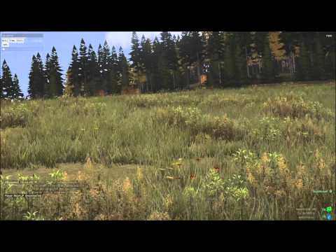 Chernarus Wasteland 001