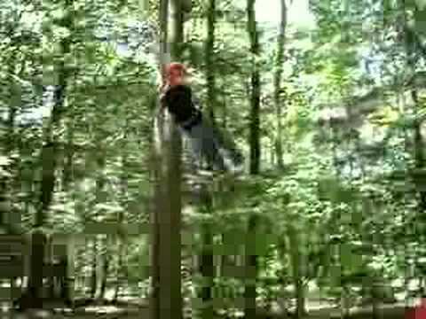 giant swing at Camp takodah