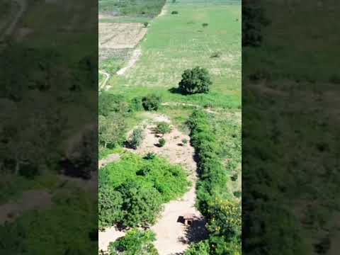 vendo essa maravilha com 2 casas vendo parcelado em bodoco pe 8799102 3154