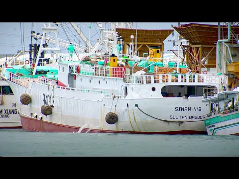 The Death of the Oceans?