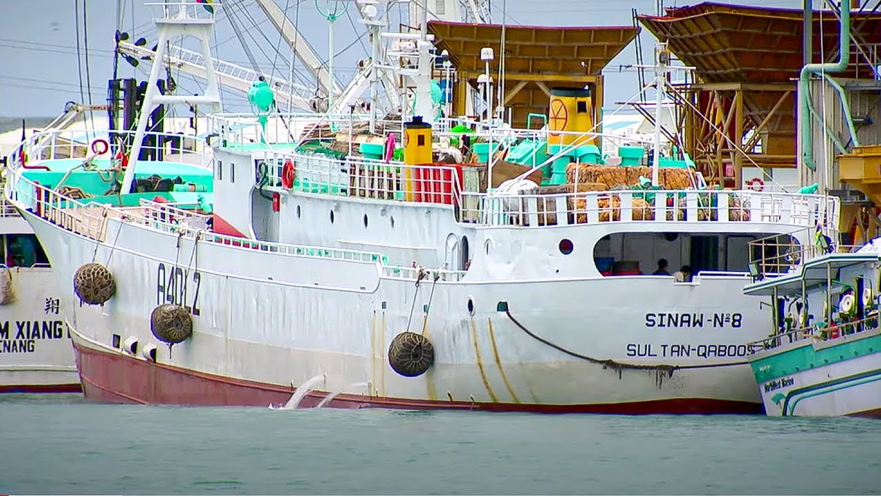 The Death of the Oceans?