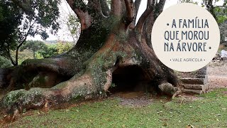 Miniatura do vídeo