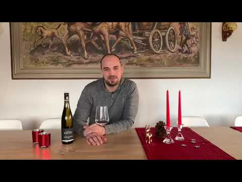 Weinverkostung - Weingut Bischel Weisser Burgunder