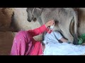 My Funny Donkey Donkeykong Mariosvsdonkeykong Animals Funny Donkey Animalhumor Funnyanimal