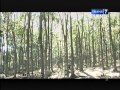 Mister Tukul Jalan Jalan Eps Fenomena Mistis Jember Part 1 5 Oktober 2013 Terbaru
