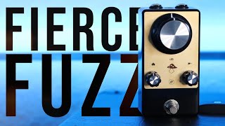 Video thumbnail for Fjord Fuzz BERSERK V2 Demo // A Fierce Yet Versatile Warrior Returns by Philip Czarnecki