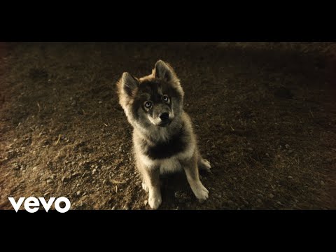 Video thumbnail for Resourceful Pup