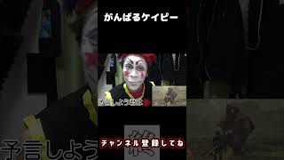 - がんばるケイピー