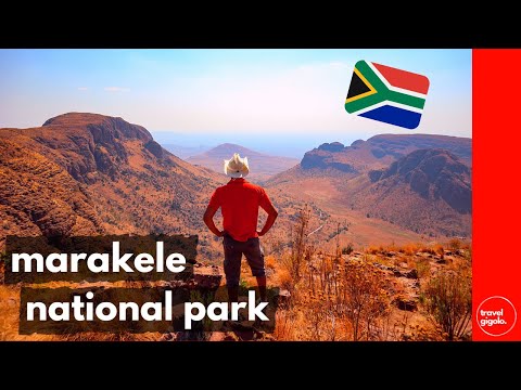 Travel Review: Marakele National Park, Limpopo (South Africa Self Drive)[National Parks]