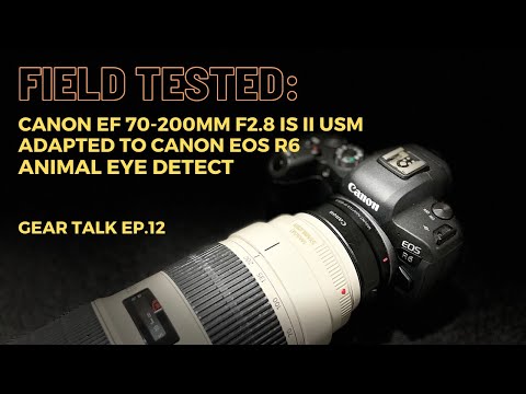 Field-Tested Animal Eye Detect:  Canon EF 70-200mm f2.8 USM II on Canon EOS R6  (Sample images)