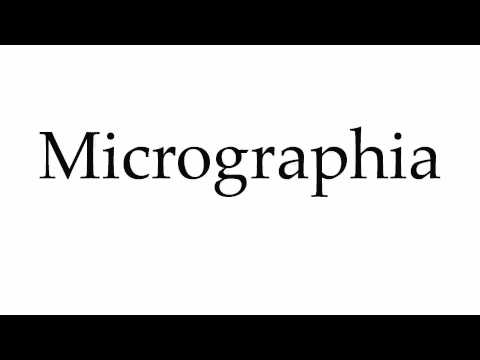 How to Pronounce Micrographia
