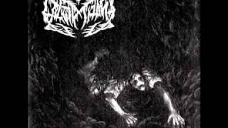 &quot;Introriot/Fucking Your Ghost in Chains of Ice&quot; - Leviathan