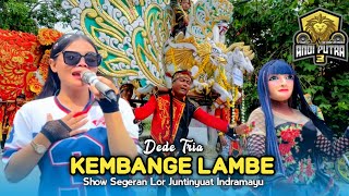 Download lagu KEMBANGE LAMBE • DEDE TRIA • ANDI PUTRA 3 • Show Segeran Lor Juntinyuat Indramayu  mp3 Download lagu KEMBANGE LAMBE • DEDE TRIA • ANDI PUTRA 3 • Show Segeran Lor Juntinyuat Indramayu  mp3