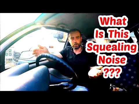 image-Why does my car make a screeching sound when it starts?