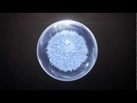 Detritus "Haunted (remix by Niveau Zero") - "Genesis" by Andreas Wannerstedt