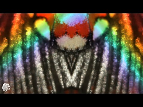 Headroom - Acid Trip Advisor