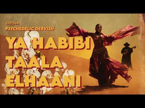 Psychedelic Dervish - Ya Habibi Taala Elhaani | Dervish Remakes
