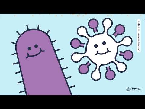 How Does a Waste Water System Work?