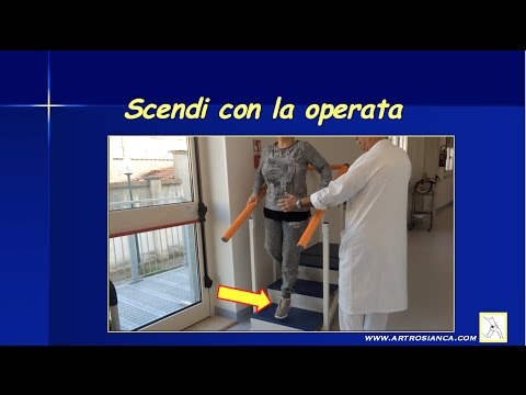 Una serie di esercizi per il mal di schiena Malattie della cartilagine articolare