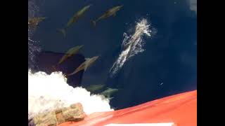 Download lagu Offshore Bintulu Sarawak, 2007, MV Wangsamaju mp3