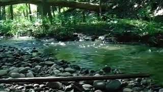 Archy Marshall - Dull Boys