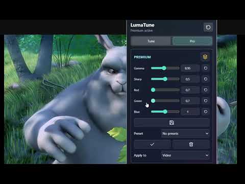 Item video thumbnail
