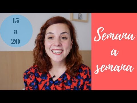 Semana 15 de EMBARAZO hasta la 20 | Embarazo semana a semana