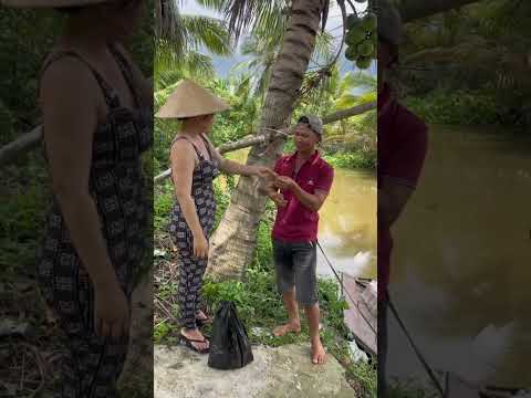 tạp hóa trên sông vui vẻ và hài hước