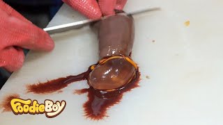 [花邊] 砍特新寵物！？