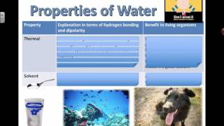 Properties of Water and Benefits (2016) IB Biology
