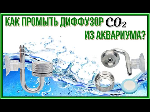 Промывка диффузора системы подачи CO2 в аквариум.