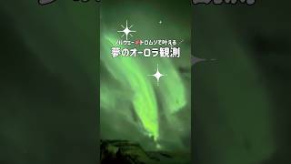 【北欧】念願のオーロラ！！ノルウェー🇳🇴トロムソ #ノルウェー #norway #トロムソ #tromsø #北欧 #北欧旅行 #オーロラ #旅行vlog #ドイツ生活 #ドイツ在住 #海外生活