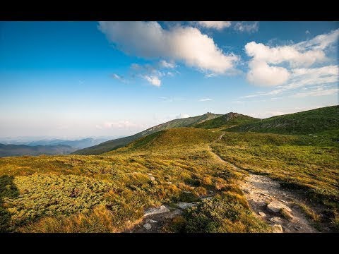 Hiking in the Carpathian Mountains  Ukraine    Nature Documentary Film