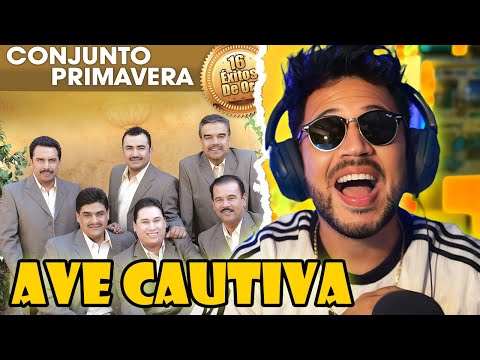 REACCIÓN a Conjunto Primavera - Ave Cautiva (Video Oficial)