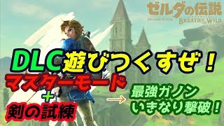 #7【ゼルダの伝説botW】台風で寝れない人へ　マスターモードで剣の試練！【初見歓迎】【breathofthewild】