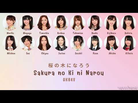 AKB48 'SAKURA NO KI NI NAROU' LYRICS (AKB48 '桜の木になろう' 歌詞/かし) | Color Coded Lyrics KAN_ROM_ENG