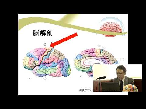 理学療法学専攻　体験授業「脳血管障害における脳画像の診かた」