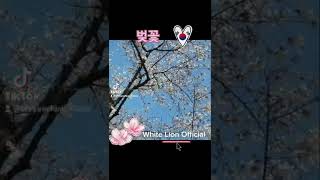 Download lagu FB: Chryse Elijah  mp3
