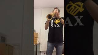 Video thumbnail for Yanagisawa S-WO20 Soprano Saxophone (Bronze) & Vandoren SP3 Mouthpiece by Leandro Perpiñán