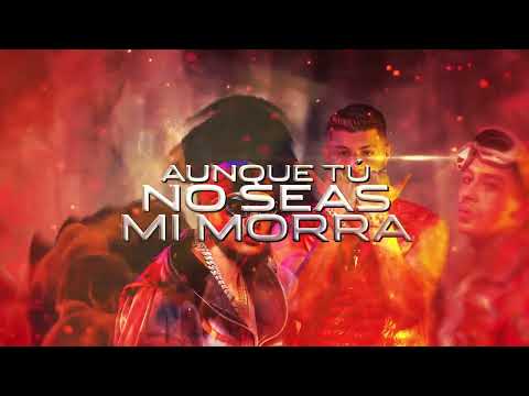 Actriz protagonizarΓ‘ adaptaciΓ³n de una famosa novela Actriz protagonizarΓ‘ adaptaciΓ³n de una famosa novela