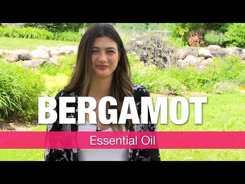 Bergamot Essential Oil Uses & Benefits