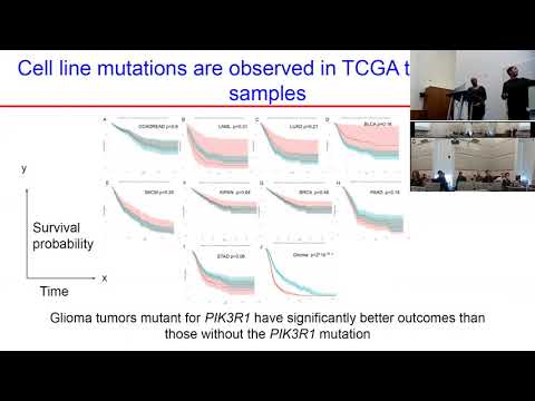 MIT CompBio Team13 Leveraging CRISPR Screens to Classify Genes as Having Essential Hotspot And Damag