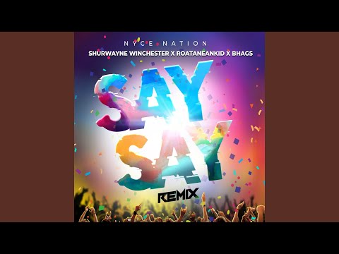 Say Say (Remix)