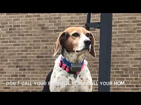 Derby’s Video Jingle (Written by Stephen Baralt)